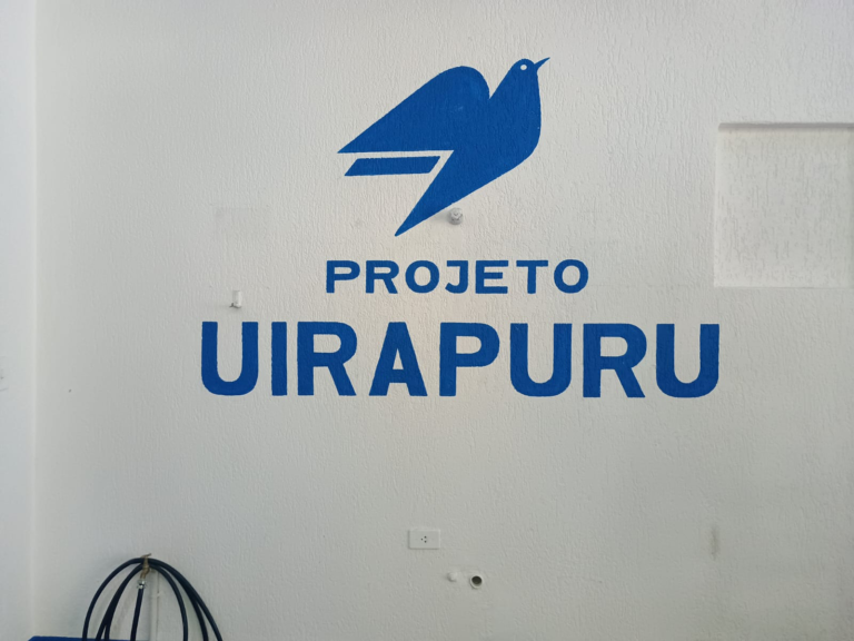 Pintura Letreiros Projeto Uirapuru