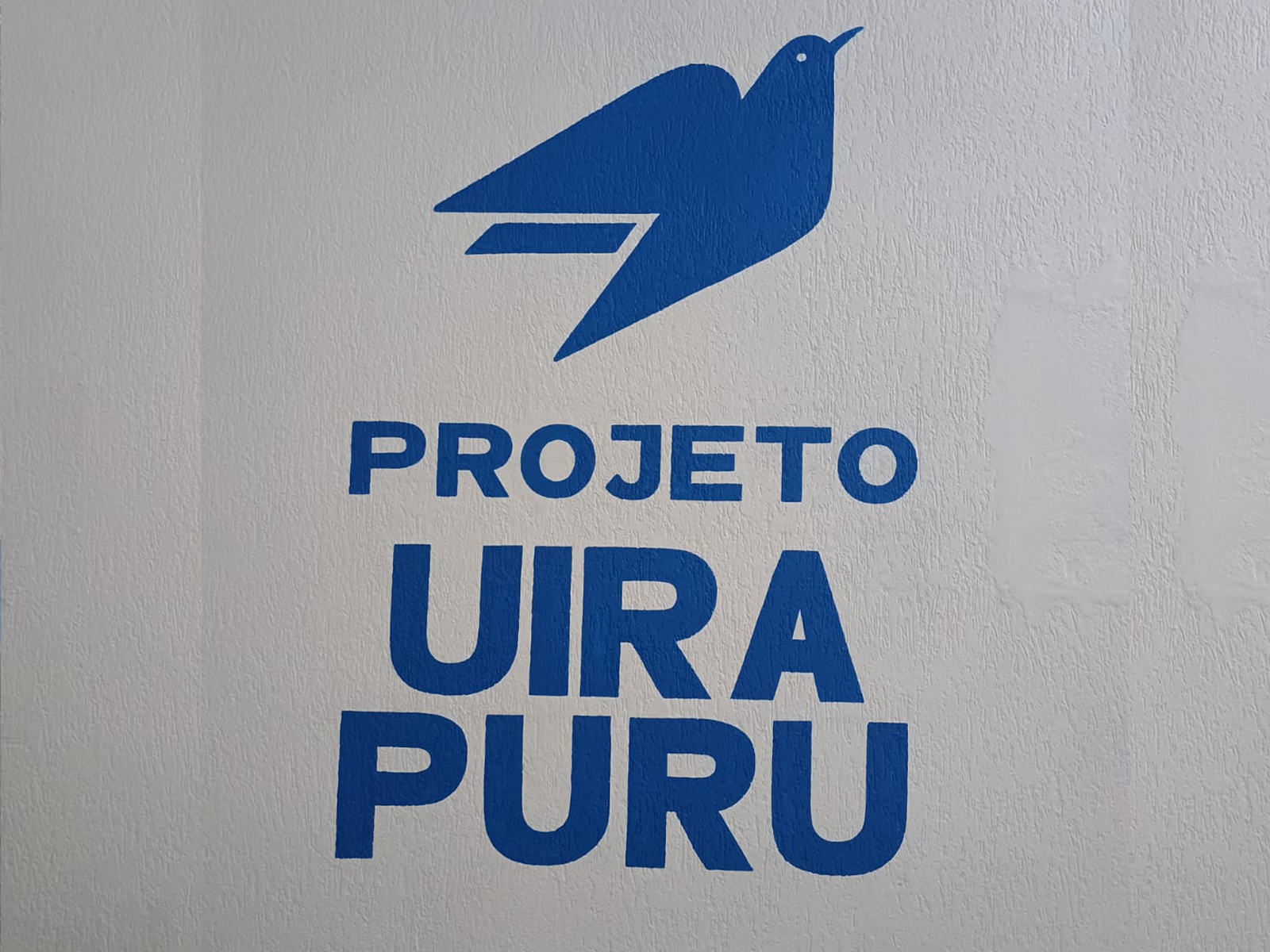 Pintura Projeto Uirapuru Logo Parede