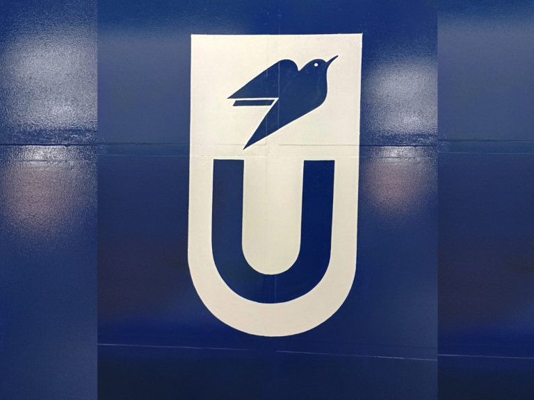 Pintura Projeto Uirapuru Logo Portão Aço